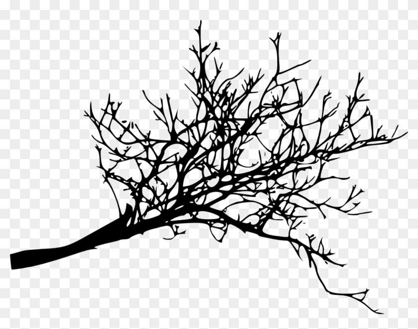 Free Download - Dead Tree Branches Png #1333619