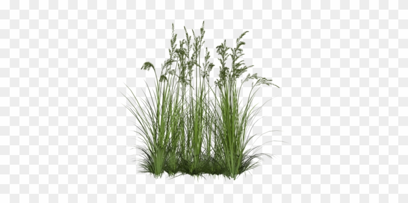 Grass Png Zip Download Grass Png Zip Download - Bushes Png #1333712