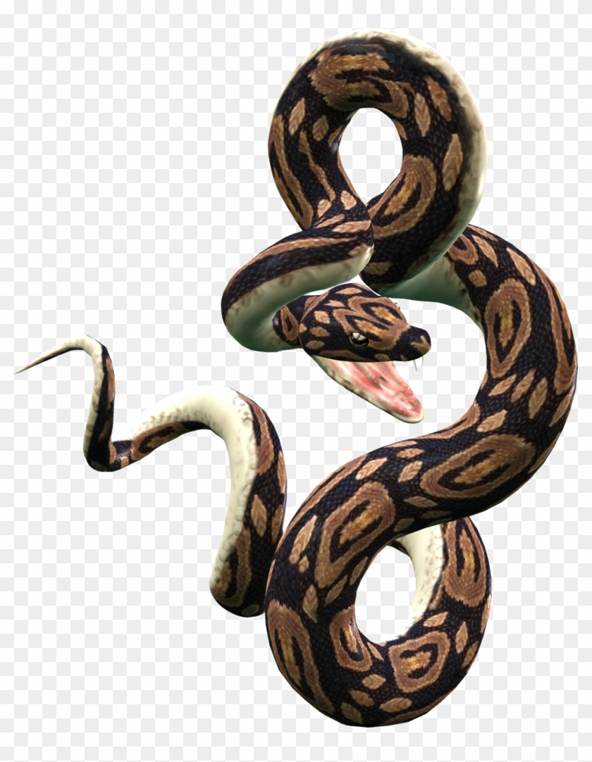 Snake Png Image Picture Download Free - Snake Png #1333721
