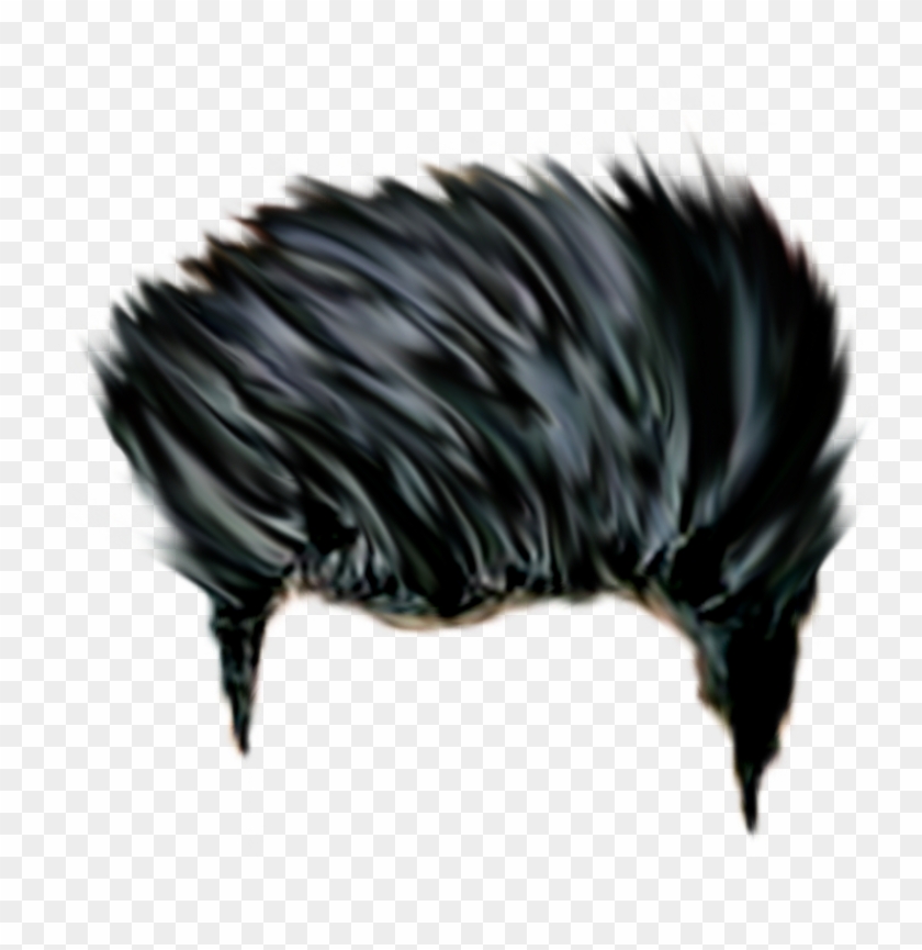 Stylish Hair Png For Boys - Png Hair Hd - Free Transparent PNG Clipart  Images Download