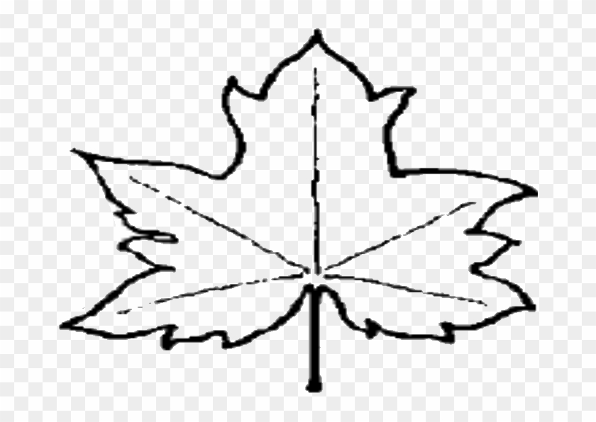 File Leaf Outline Wikipedia Clipart - Outline Of A Leaf #1333757