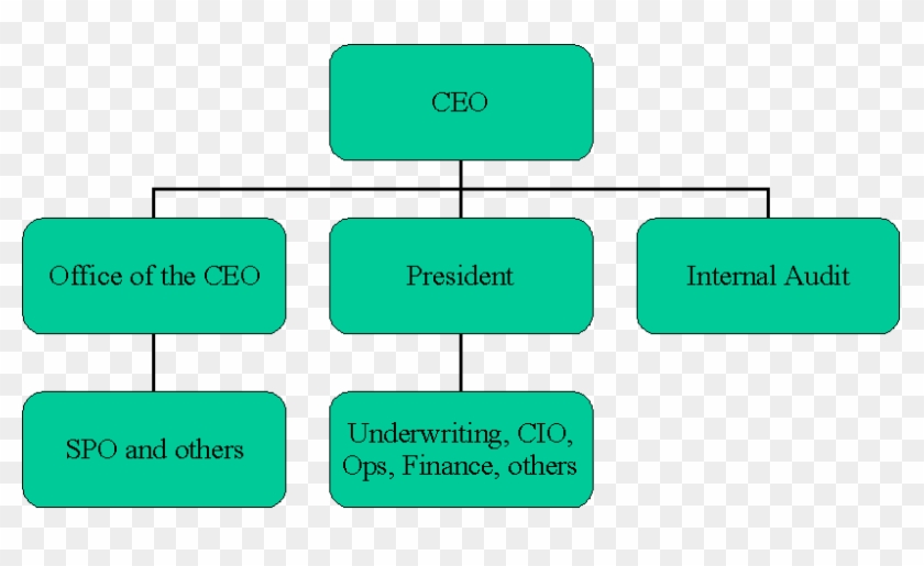 Strategic Project Management Org Chart - Chart Of Organization Management #1333816