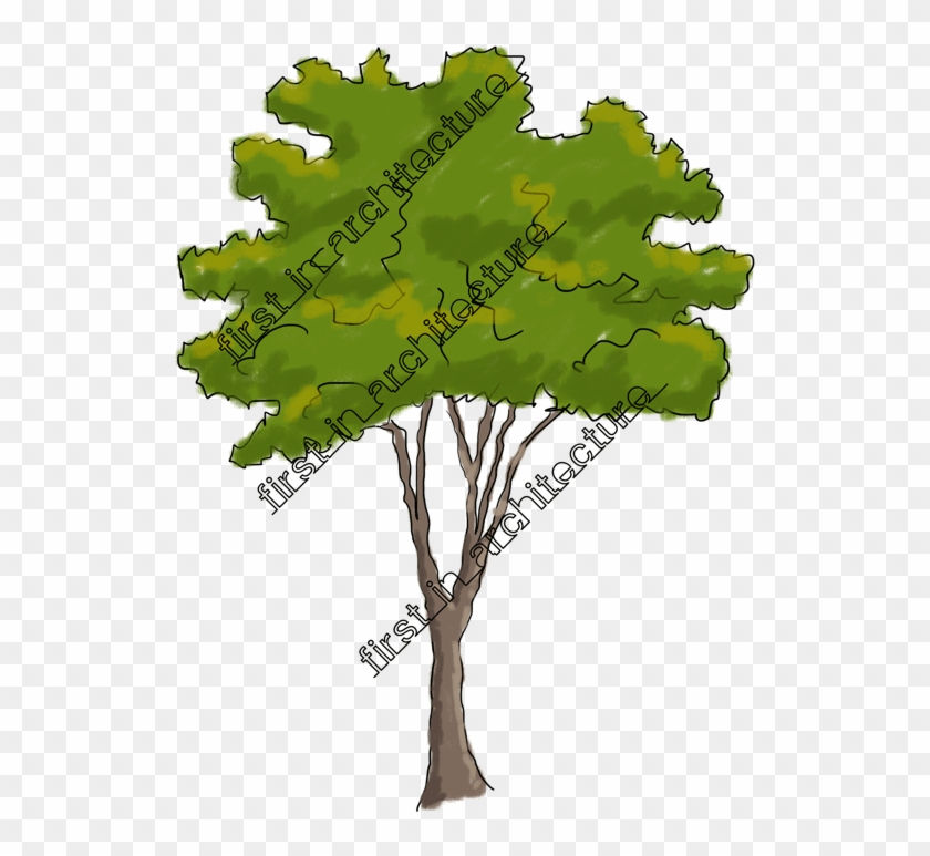 Hand Drawn ] - Trees Elevation Hand Drawn, HD Png Download -  3840x1550(#2436864) - PngFind