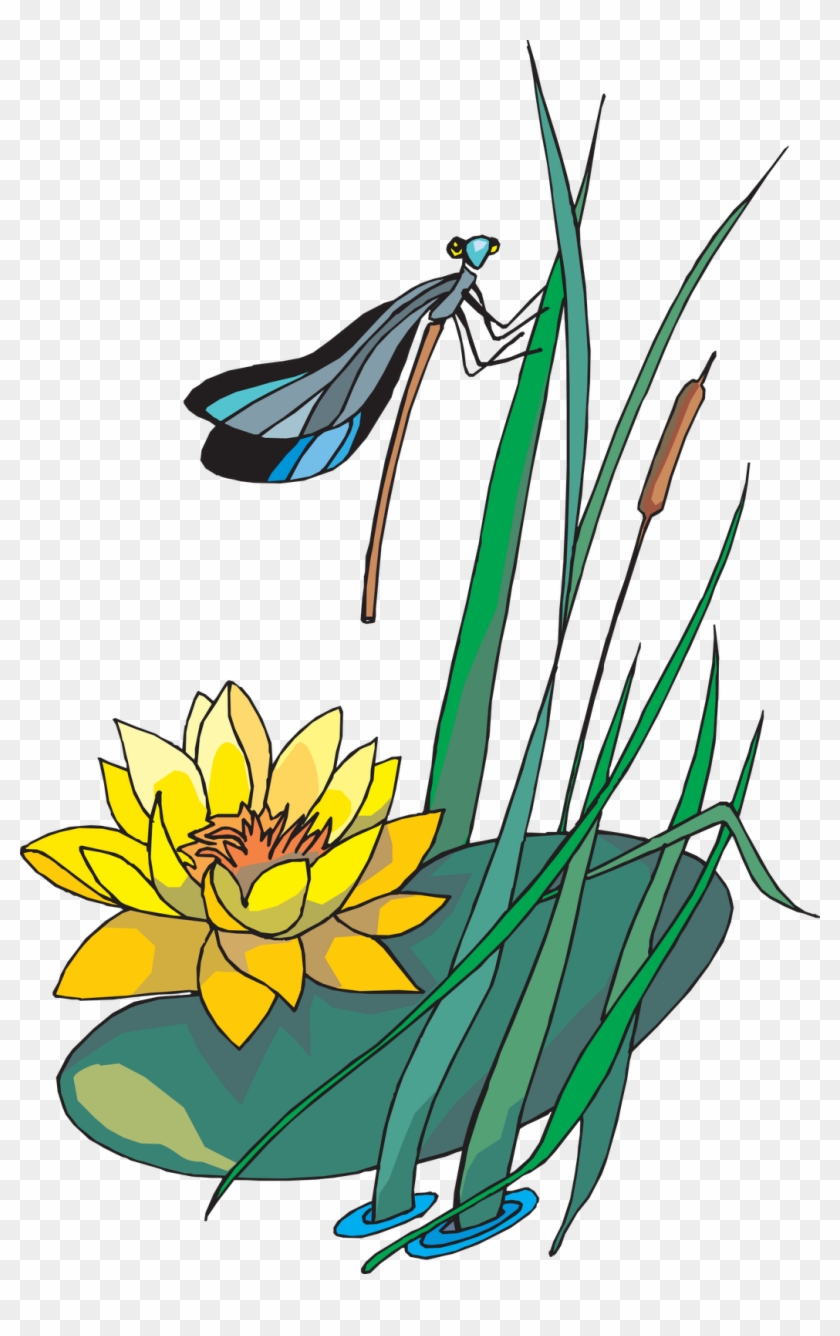 Nelumbo Nucifera Dragonfly Clip Art - Sacred Lotus #1334047