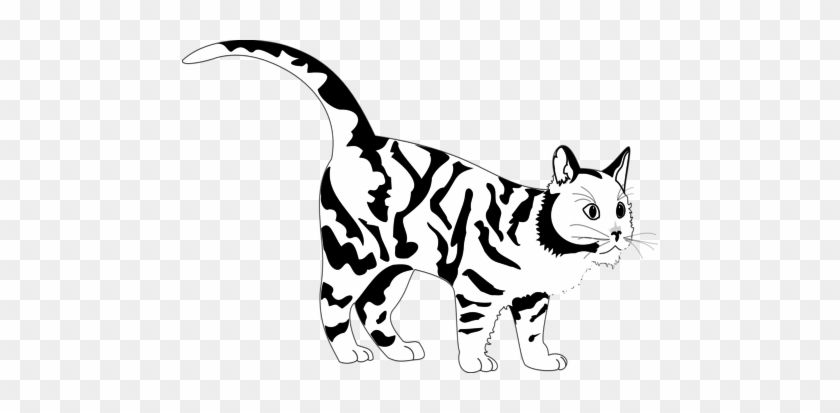 Are Black Tigers Real Tiger Cat White Line Art Coloring - Fierce Cat Clipart Black And White #1334199