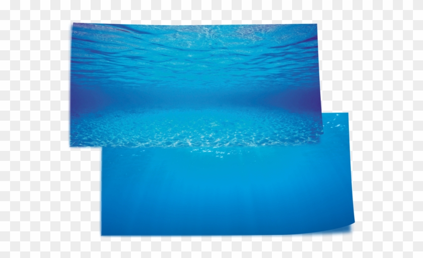 Die Wasserunempfindliche Folie Wird Einfach Hinter - Aquarium Poster Juwel #1334337