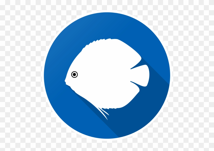 Aquarium Calculator - Sharepoint Team Site Icon #1334385