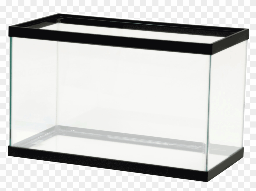 Our Services - 10 Gallon Fish Tank #1334405