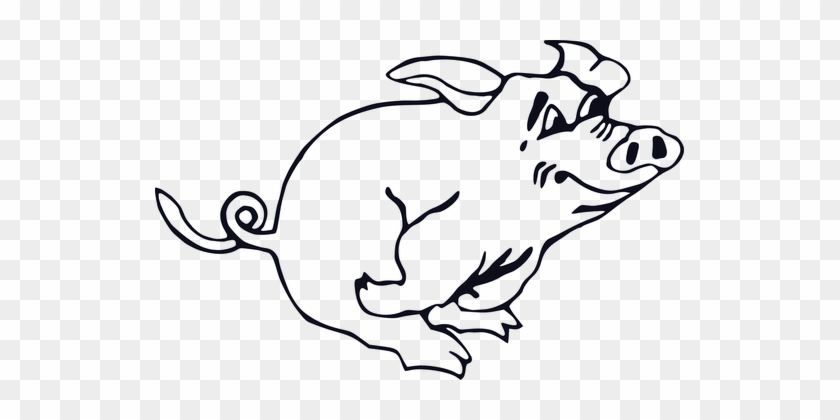 Pig Running Animal Tail Pork Fear Curly Pi - Snowball Animal Farm Black And White #1334456