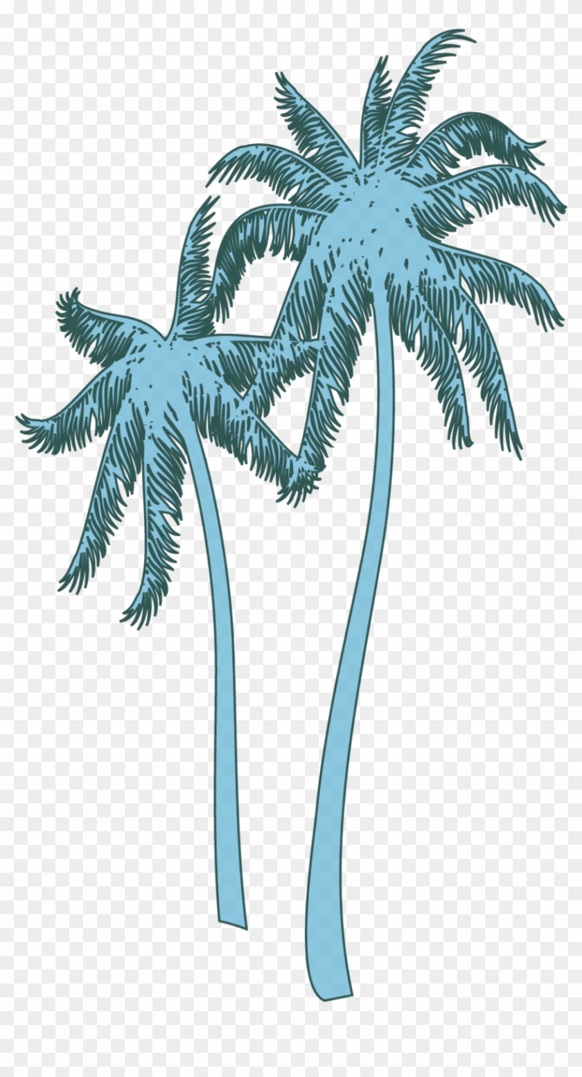 Coconut Tree - Coconut Tree #1334460