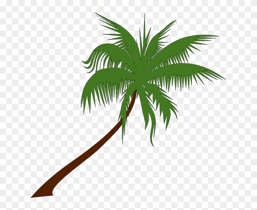 Palm Tree, Coconut, Palm, Tree, Tropical, Palm Leaves - Free Palm Tree Clipart #1334478