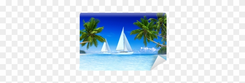 Sailboats On Beach And Palm Tree Wall Mural • Pixers® - Plane Flying Over Beach #1334484