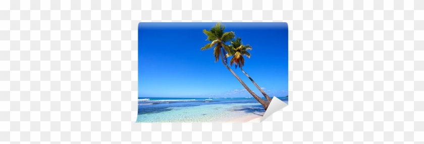 Tropical Sand Beach And Palm Trees Wall Mural • Pixers® - Wandtattoo Palmen Im Mittelmeer Pixxprint #1334486