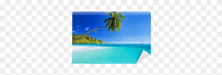 Palm Tree Hanging Over Lagoon With Blue Sky Wall Mural - Caribbean #1334487