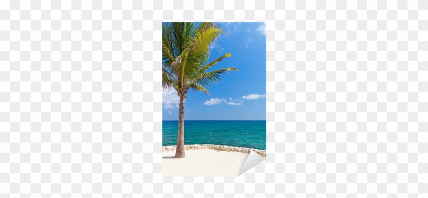 Idyllic Scenery Of Caribbean Sea With Lonely Palm Tree - Caribbean #1334489