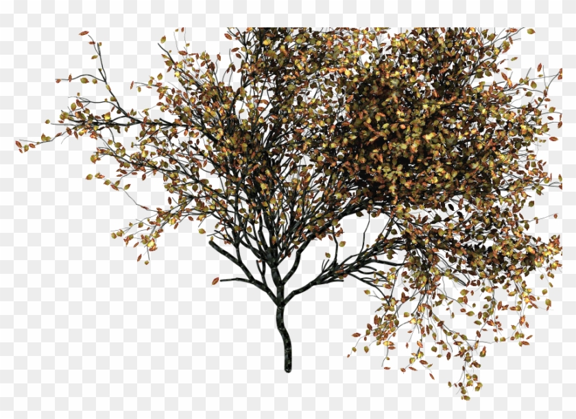 This Is Not Going To Be Useful For The Tree Modeling - Autumn #1334569