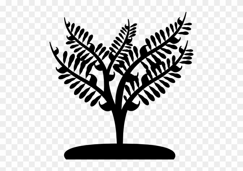 Big Plant Like A Small Tree Free Icon - Tree #1334579