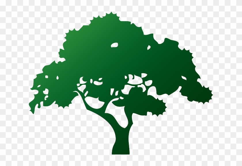De - Vector De Arbol Png #1334633