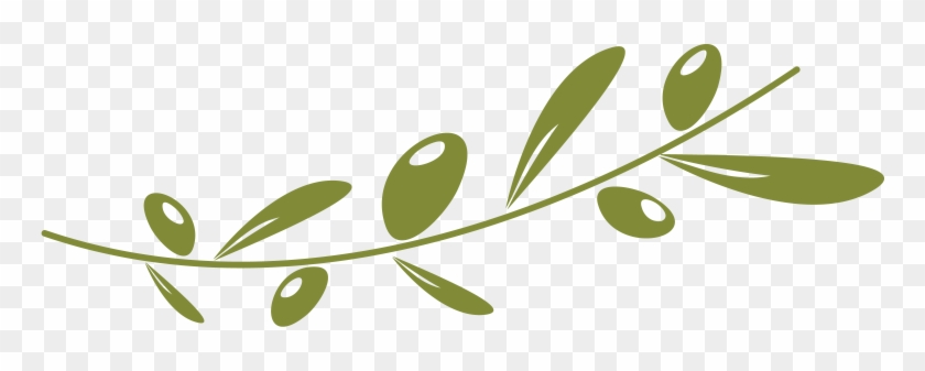 Olive Oil Label Vector Clipart - Olive Oil Branch Png #1334664