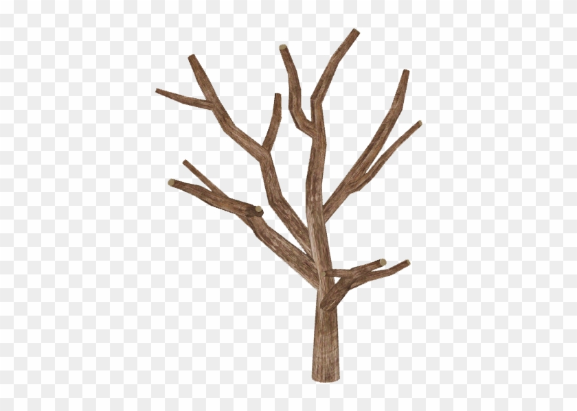 Dead Tree 2 - Driftwood #1334729