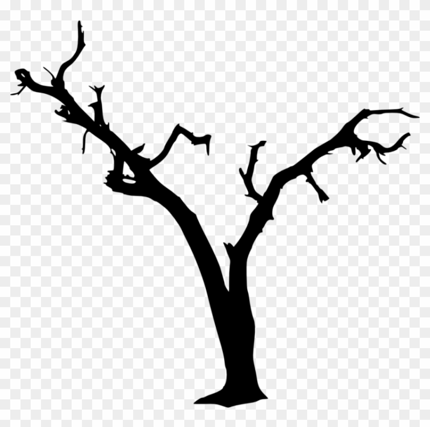 Free Png Dead Tree Silhouette Png Images Transparent - Dead Tree Branch Png #1334730