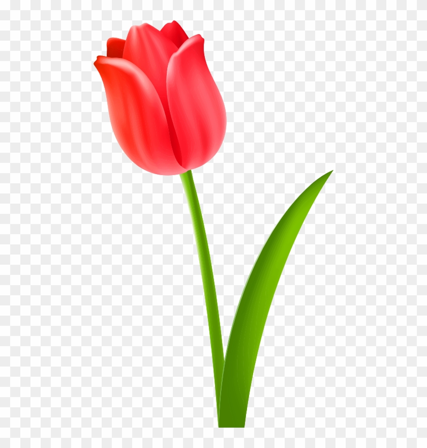 Red Office - Tulip Clipart #1334739