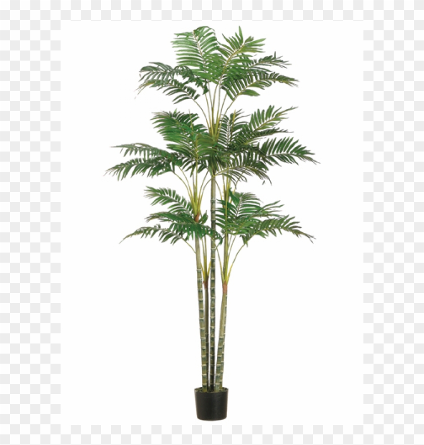 6' Areca Palm Tree X26 In Plastic Pot Green - Silk Plants Direct Areca Palm Tree - Green - Pack Of #1334766