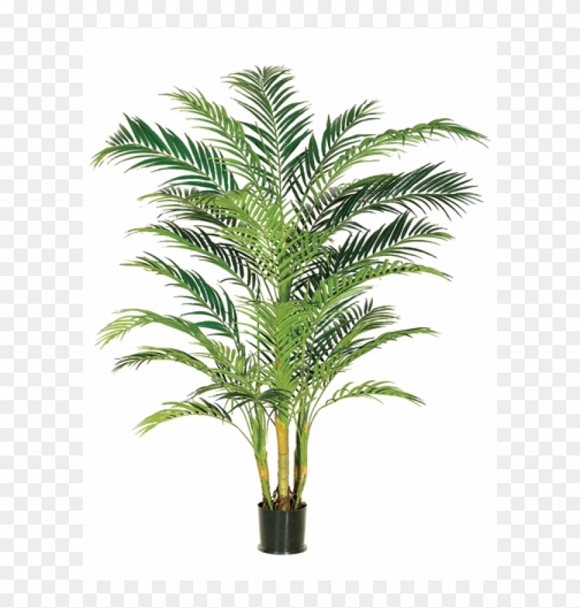 7' Areca Palm Tree X4 In Pot Green - Silk Plants Direct Areca Palm Tree - Green - Pack Of #1334775