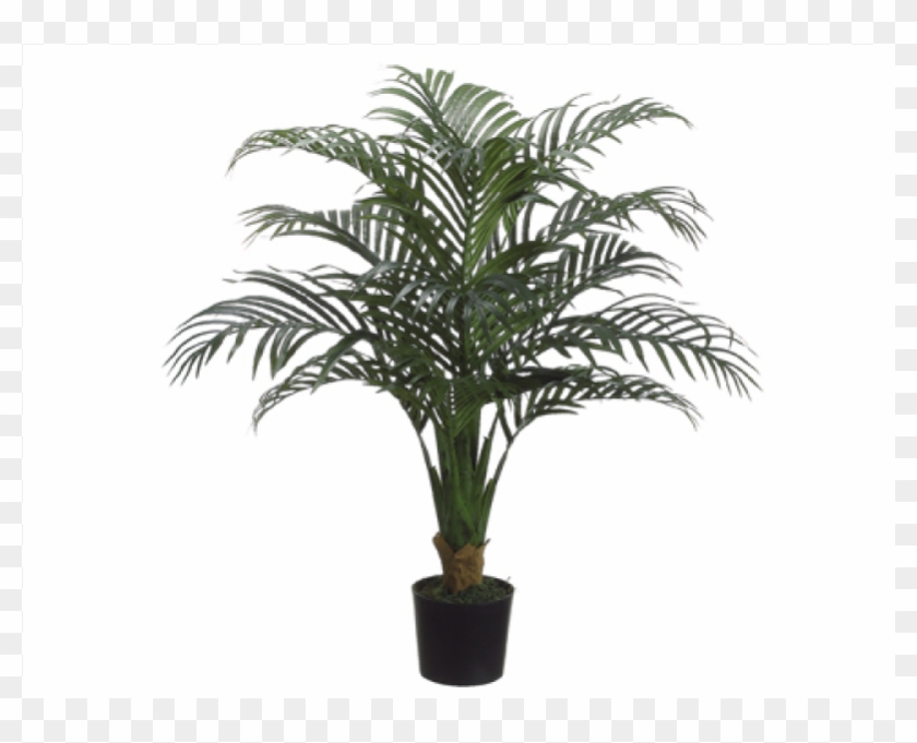 40" Palm Tree In Plastic Pot Green - Silk Plants Direct Tropical Palm Tree - Green - Pack #1334780