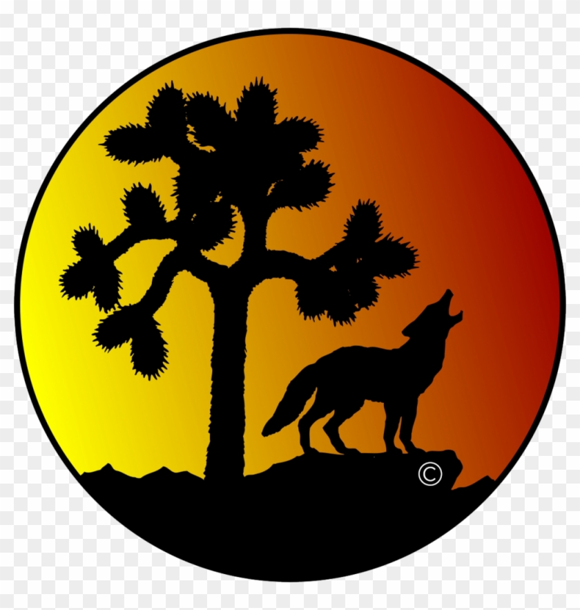 &nbsp - &nbsp #1334894