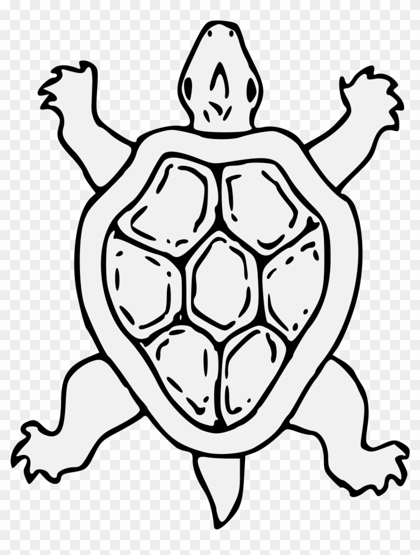 Tortoise - Art #1334904