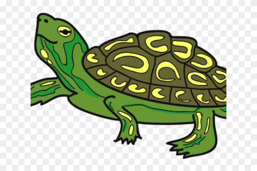 Tortoise Clipart Terrapin - Tortoise Clipart Terrapin #1334907