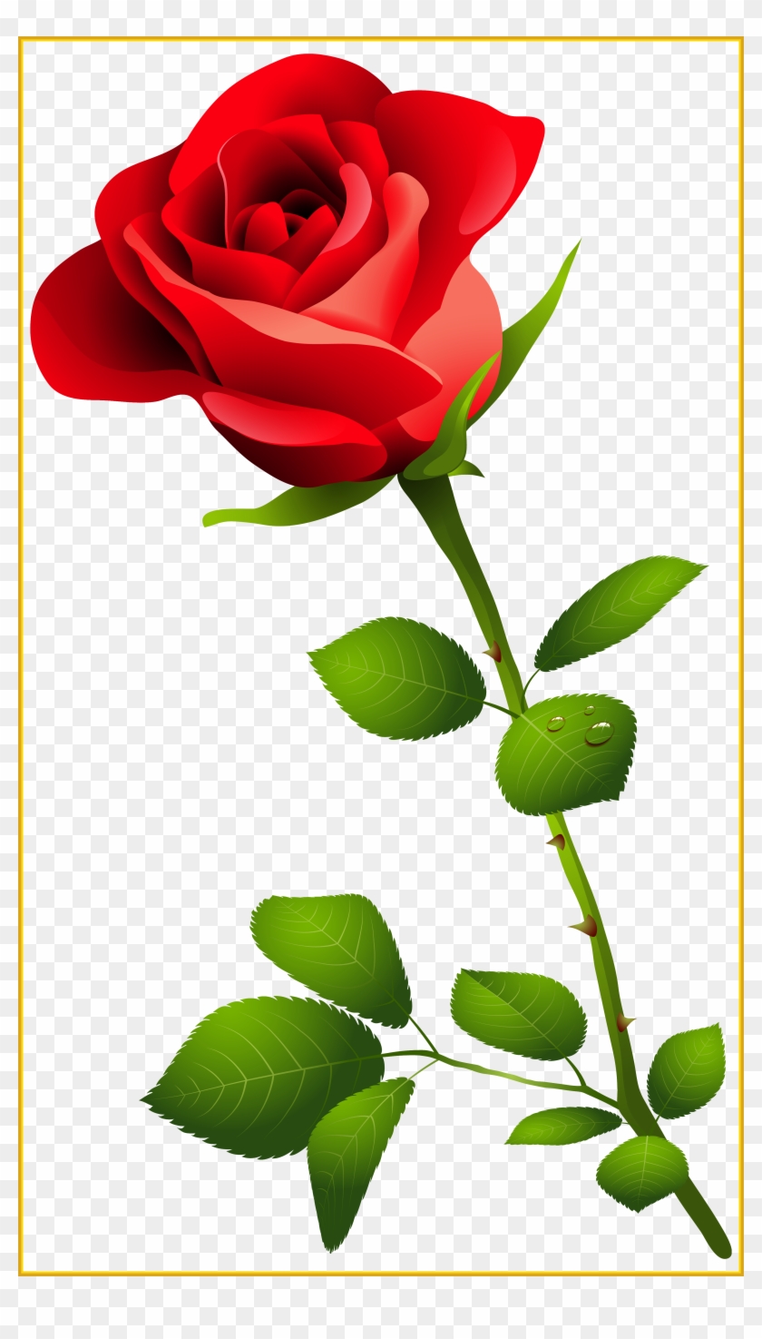 Awesome Red Rose With Stem Png Clipart Image Transparent - Awesome Red Rose With Stem Png Clipart Image Transparent #1334943