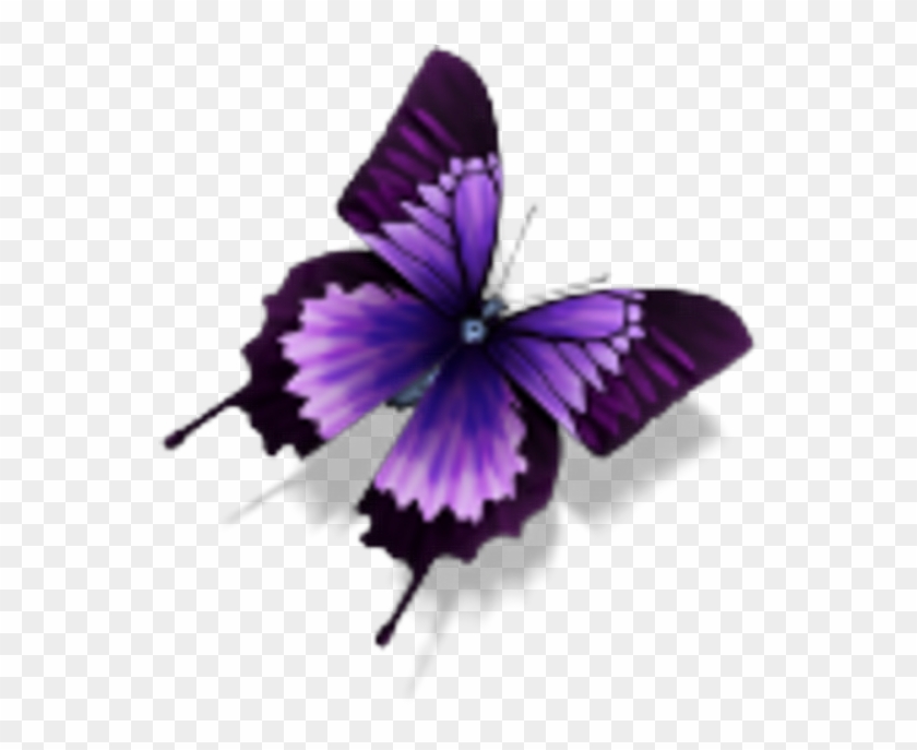 Purple Butterfly - Purple Butterfly Png #1335010