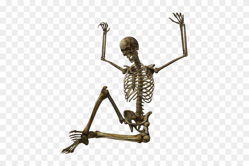 Human Skeleton - Halloween Png Hd #1335062
