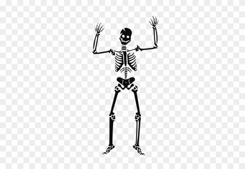 Scary Human Skeleton Vector Image - Human Skeleton Clip Art #1335064