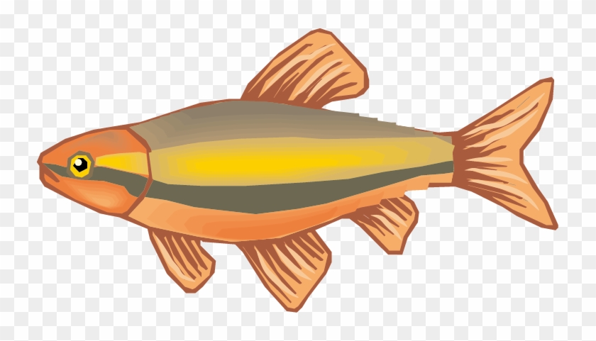 Fish Drawing Cartoon - Animadas De Alimentos De Origen Animal #1335138