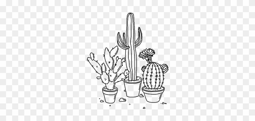 Cacti Drawings - Transparent Drawings #1335203