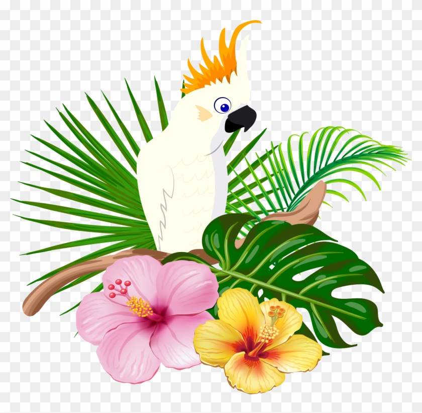 Parrot Bird Floral Design - Parrot #1335226