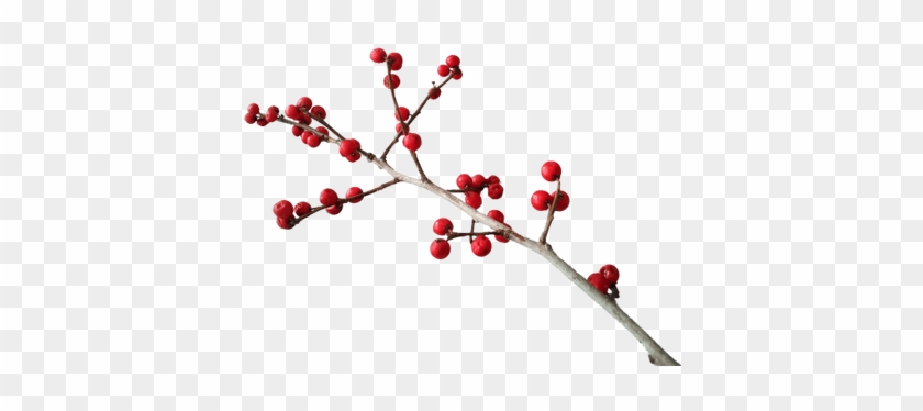 Navidad Rama Decoración - Pink Peppercorn #1335375