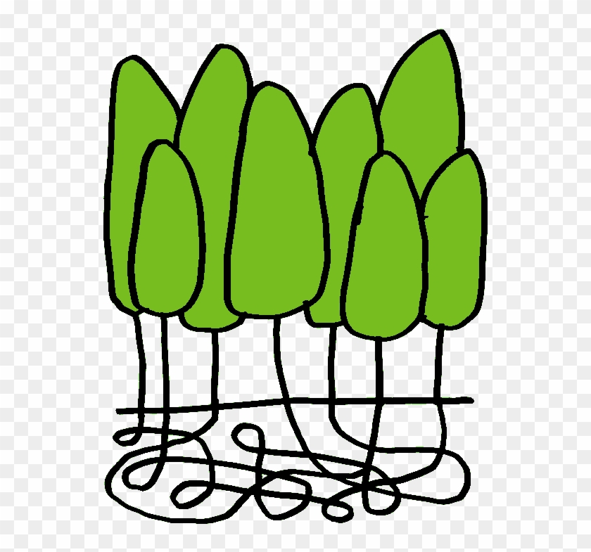 Pando Populus - Pando #1335386
