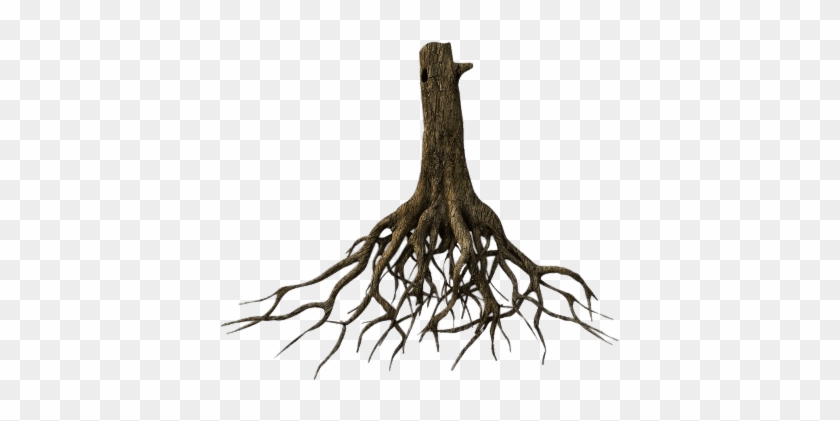 Tree With Roots Png #1335393