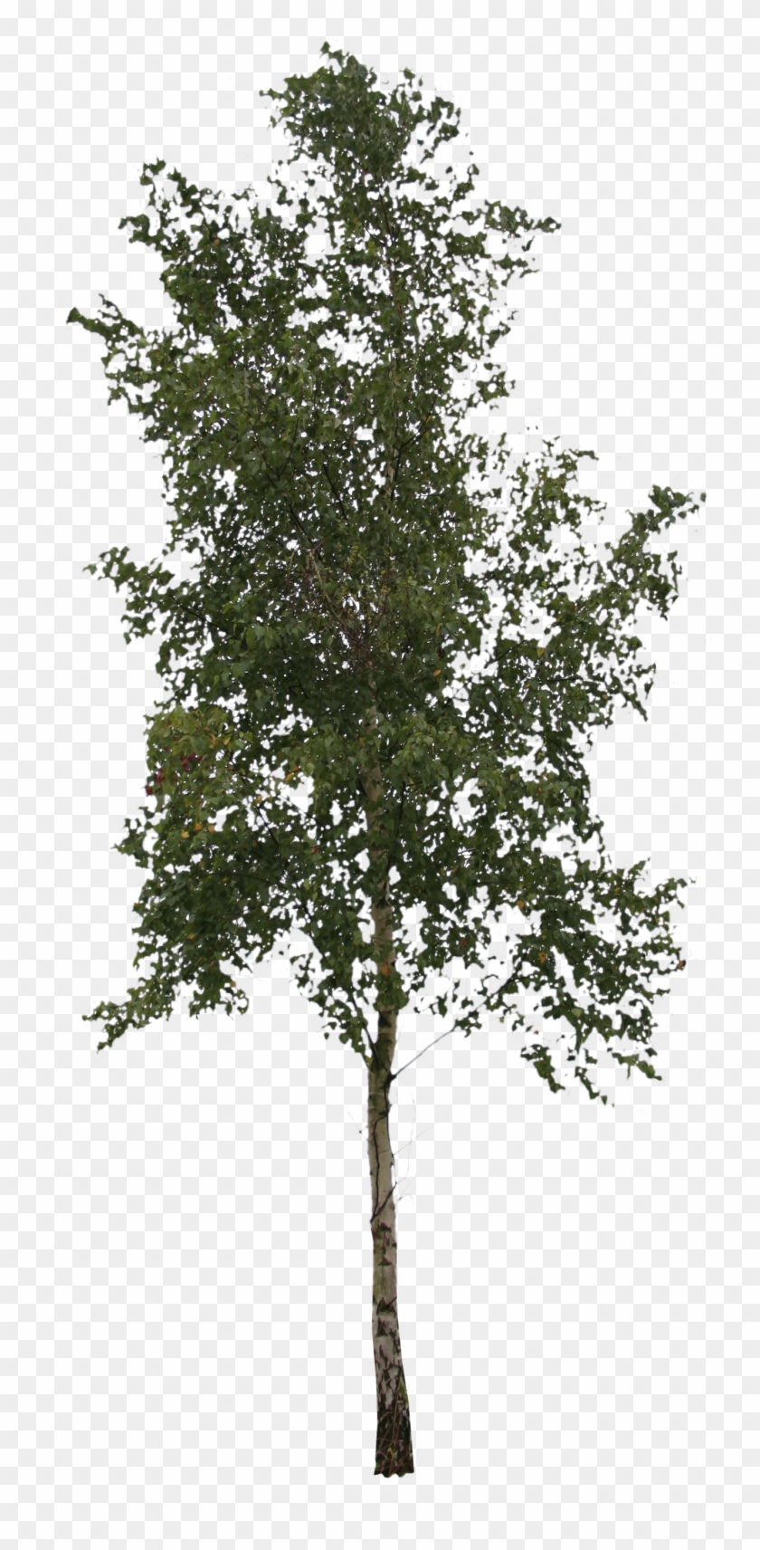 2d Trees - 2d Trees #1335421