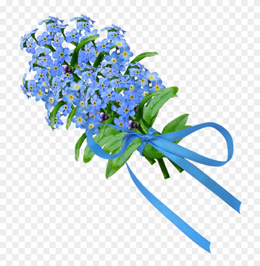Forget Me Not In Bouquets - Alpine Forget-me-not #1335426