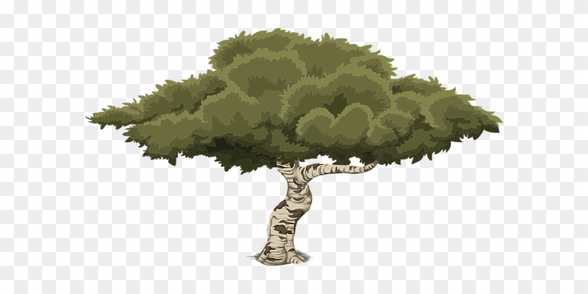 Tree Art Artwork Trunk Cartoon Nature Leav - Arbol Ilustracion Png #1335449