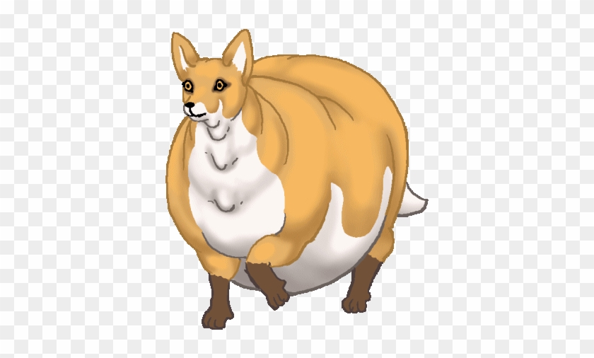 Fat Fox Walk - Swift Fox #1335458