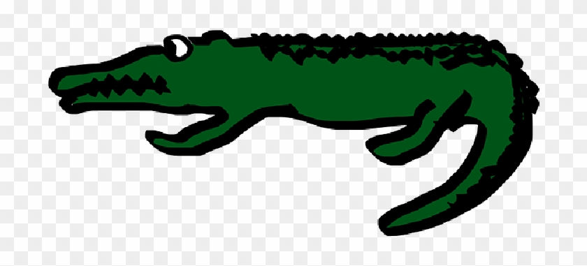 Crocodile, Alligator, Cartoon, Biscayne National Park - Gambar Buaya Kartun #1335551