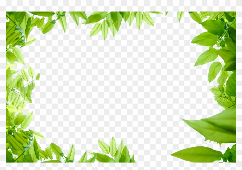 Leaves Png Images Transparent Free - Green Leaf Border Png #1335831