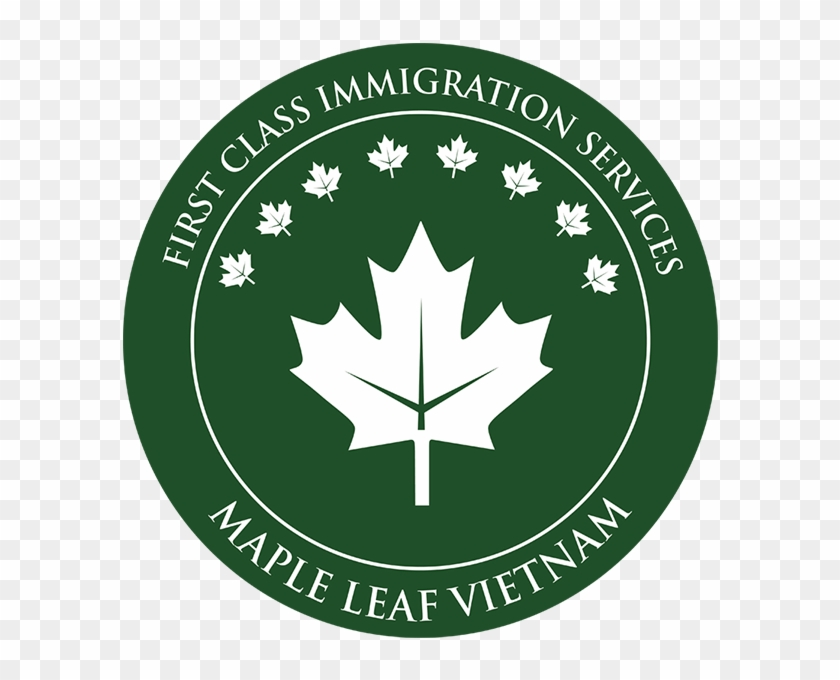 Maple Leaf Vietnam - Mobile Syrup #1335836