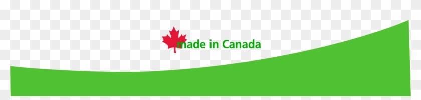 Please Include The Complete Company Name, A Brief Company - Maple Leaf #1335839